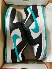 新品ナイキ DUNK LOW RETRO DV0833-109 29cm
