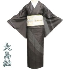 着物と帯 時流】SK26574◇正絹 夏着物 小紋◇風通紗 美品 - メルカリ