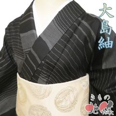 新品 しつけ糸付き 夏着物 夏大島 紗紬 本場大島紬 横双絣 小紋 トール