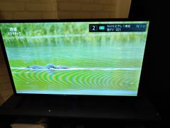 HP pavilion 27 quantum dot QHD 量子ドット液晶 - メルカリ