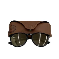 180059 現状品 Ray-Ban レイバン サングラス RB4171-F