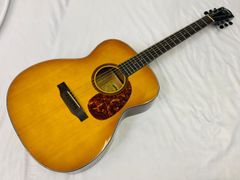 エレアコ ARIA（アリア） アコースティックギター AF-STD 【エレアコ化オプション11683】ARIA アコギ 初心者 レジェンド FG-15CE Legend ギター