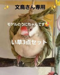65⭐ い草お試し9点セット ⭐ インコ カジカジ、ガジガジおもちゃ