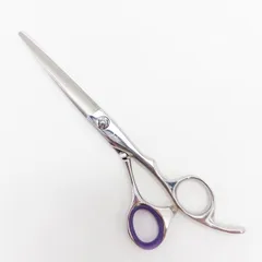 ⭐︎極美品　三和技研　サンワ　シザー　メガネタイプ 2026年最新】三和技研の人気アイテム - メルカリ