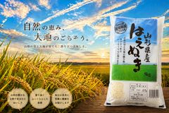 ゆきんこ様専用 オバステ観月米 10kg - メルカリ