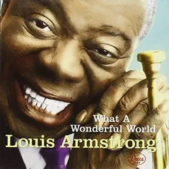 2026年最新】what a wonderful world レコードの人気アイテム - メルカリ