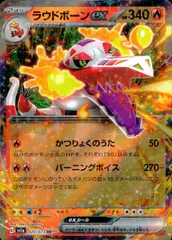 020/073/SV1A/B/RR ラウドボーンexのサムネイル