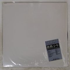 天照石シート 2枚入り ポリエステル100% - メルカリ