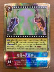 奇跡の究極騎士 金枠 パラレル デジカ デジモンカード - メルカリ