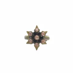 ミハエルネグリン Michal Negrin 指輪 エンブレムモチーフリング 9号 ゴールド色