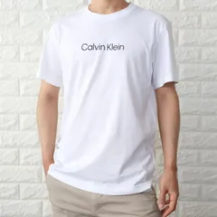 Tシャツ メンズ カルバンクライン ブランドロゴ ホワイト 白 CALVIN KLEIN 男女兼用 KM0KM00843