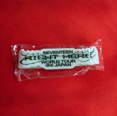 SEVENTEEN RIGHT HERE ラバーバンド キーホルダー DKセット - メルカリ