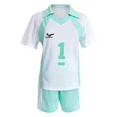 [Formemory] 青葉城西高校 ハイキューコスプレ衣装Tシャツ コスチューム リラックス キャラクター衣装 半袖 バレーボールウエア 運動服 及川徹 金田一勇太郎 岩泉一 国見英 コスプレ 文化祭 5サイズ (青葉１号, L)