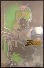 HOT TOYS 1/6TH SCALE COLLECTIBLE FIGURE 仮面ライダーBLACK シャドームーン TMS159