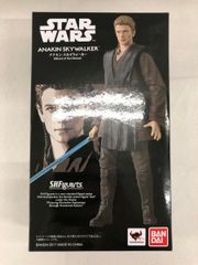 ジェントルジャイアント スターウォーズ ルーク ベスピン ミニバスト
