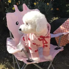 即納【XXLサイズ】犬服 ハート柄カジュアルパーカー トップス ペット服 犬 おしゃれ かわいい 安い 小型犬 中型犬 大型犬のサムネイル
