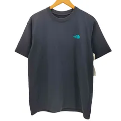 ザノースフェイス THE NORTH FACE S/S BANDANA SQUARE LOGO TEE ペイズリー柄 バックプリント クルーネック S/S Tシャツ メンズ import：M 