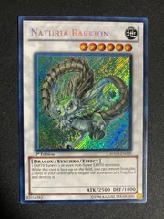 ナチュル・パルキオン、ビースト 旧DTシークレット　2枚セット 遊戯王 ナチュルビースト ナチュルパルキオン ナチュルランドオルス DT