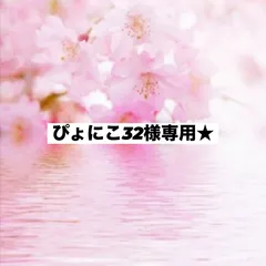 ぴょにこ32様専用ページ♪