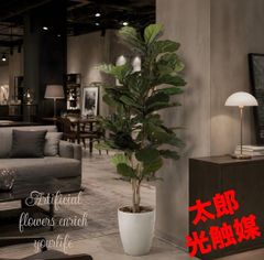 光触媒 人工観葉植物 ウォールグリーン フェイクグリーン マリエブルー