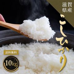 【 農園直送 】玄米 10kg コシヒカリ お米 米 群馬県産 沼田のこしひかり みずのながれ】玄米 10kg コシヒカリ お米 米 群馬県産 沼田の