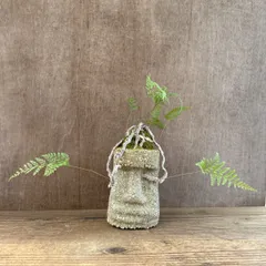 ★モアイ★トキワシノブ  現品 Humata tyermannii Bear’s foot fern 羊歯 シダ 常盤忍 シノブ 猫の手シノブ 石化トキワシノブ ラビットフット 観葉植物 観葉 植物 インテリア プレゼント かわいい 面白い 盆栽