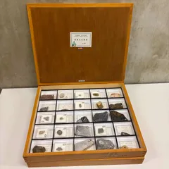 【那須町役場】標準化石標本　理科　実験　自由研究　観察　【管理番号0GL】のサムネイル