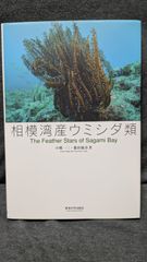 ロラン・バルト講義集成 2 <中性>について ロラン・バルト講義集成2 〈中性〉について(ロラン・バルト) / 古本