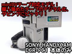 miniDVのダビングに Panasonic ビデオカメラ NV-GS500 - メルカリ