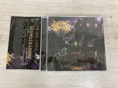 か*ん様 ドライアドの東屋 1枚 英語 non foil secret lair - メルカリ