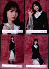 櫻坂46 5th YEAR ANNIVERSARY LIVE 山田桃実 5th Anniversary ドレス