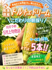 【✨️熊本県産ドルチェドリーム✨️】‼️先行予約‼️朝採りそのまま発送‼️ご家庭用向き5本セット‼️クール便✨️