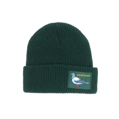 ANTIHERO KNITCAP アンチヒーロー ニットキャップ LIL PIGEON LABEL CUFF BEANIE GREEN/YELLOWのサムネイル