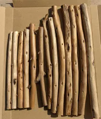 ZP訳ありカット流木【おまかせサイズ】30から20cm13本組〔洗浄済〕