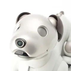 2026年最新】aibo ers-1000の人気アイテム - メルカリ