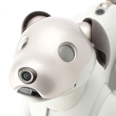 ジャンク扱い】SONY aiboアイボ本体 ERS-1000 繭付 - メルカリ