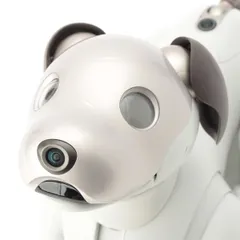 2026年最新】aibo ers 1000の人気アイテム - メルカリ