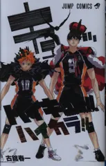 集英社 ジャンプコミックス 古舘春一 ハイキュー!! ハイカラ!! 公式カラーイラスト集