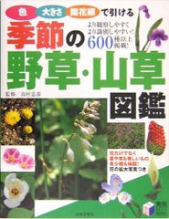 本 指数型可解リー群のユニタリ表現―軌道の方法 (数学の杜 1) [単行本