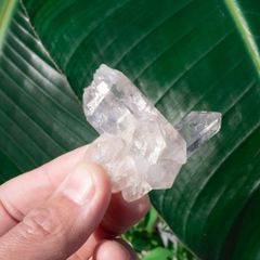 543☆ハイヒール鉢 モルタル雑貨 （お任せ植物付き） - メルカリ