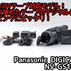 2026年最新】nv-gs100の人気アイテム - メルカリ