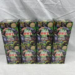 ジャングリア沖縄限定 いすゞギガトミカ4台とパンプレット付き