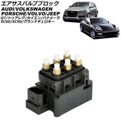 B8 パサート ヴァリアント アウターモール 水切1台分 純正 RLine 
