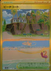 091/062/SV3A/B/UR ビーチコートのサムネイル