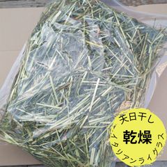 アルコジャパン イタリアンライグラス(200グラム)✖️3袋 - メルカリ