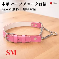 【SM】無料刻印 名入れ可 犬用 本革ハーフチョーク首輪 チョークカラー チェーン式 しつけ トレーニング 散歩 小型犬 中型犬 6色のサムネイル