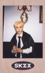【中古】コレクションカード(男性) Stray Kids/Felix(フィリックス)/Stray Kids ONLINE FANMEETING「Stray Kids 1ST #LoveSTAY ’SKZ-X’」商品購入特典ポラロイドカード