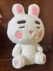 ONEW オニュ ジングワン 40cm ぬいぐるみ - メルカリ