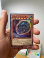 原始生命態ニビル クオシク - メルカリ