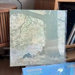 Riddim Saunter「Days Lead」LP レコード 廃盤 - メルカリ